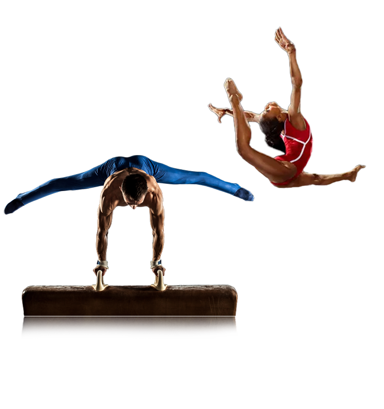 slide1-ginn-artistica4